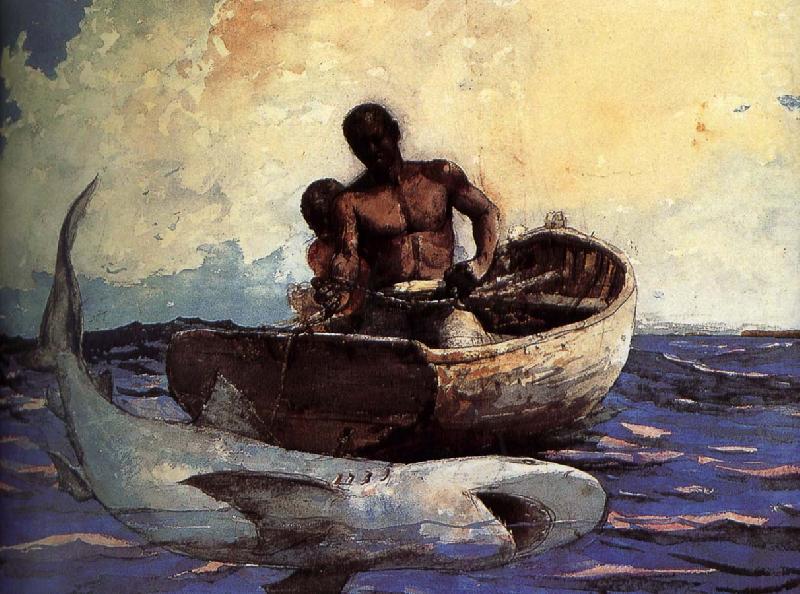 Winslow Homer Shark china oil painting image